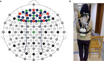 Gait performance and prefrontal cortex activation during single and dual task walking in older adults with different cognitive levels